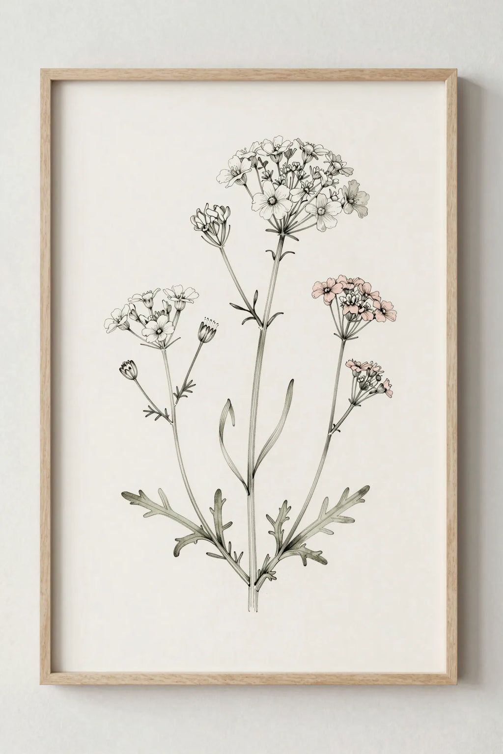 Refined wildflower botanical print