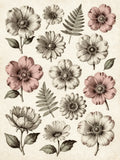 Detailed vintage botanical illustration ephemera sheet