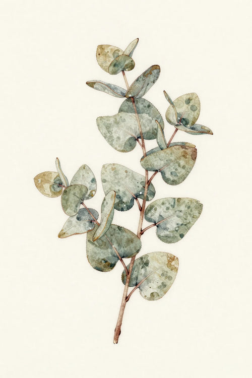 Refined eucalyptus botanical print