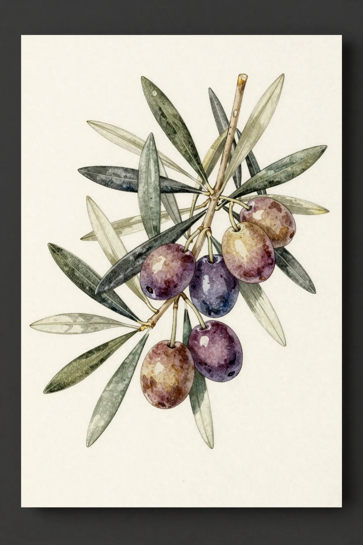 Refined olive branch botanical print