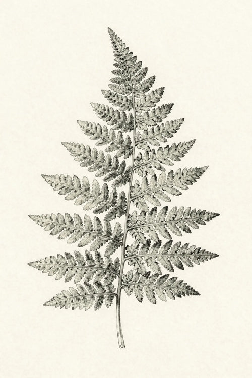 Refined fern botanical print